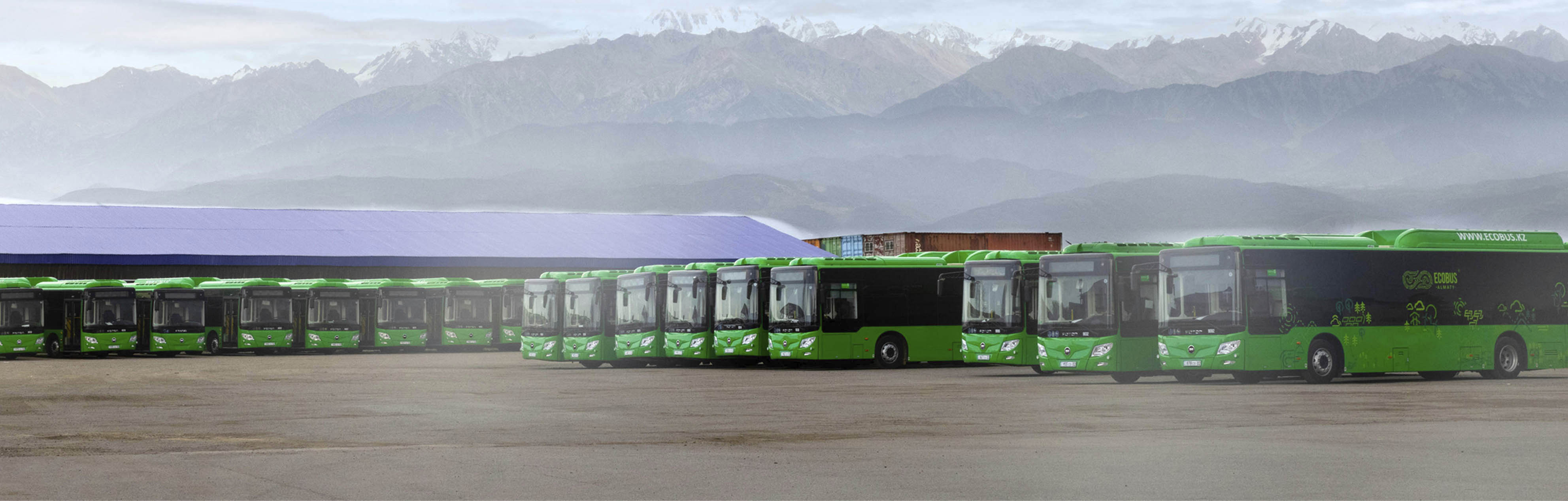 Ecobus — корпоративный сайт, работа Desline